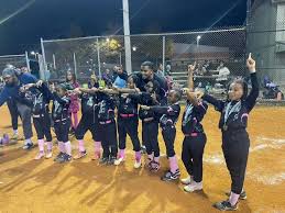 Image result for Lions Softball Club