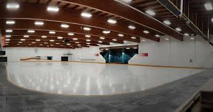 Image result for Mercian Ice Dance Club