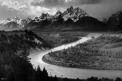 Image result for Ansel Adams Aspens New Mexico