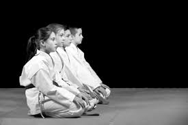 Image result for John Godwin's Wilmington Martial Arts Academy