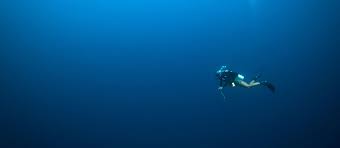Image result for Blue Water Diving