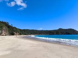 Image result for new chums beach