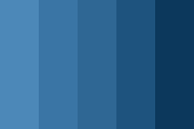 Image result for moderate blue