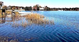 Image result for Pond Granger Performing Arts