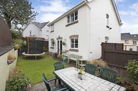 Image result for Newton Abbott Knights