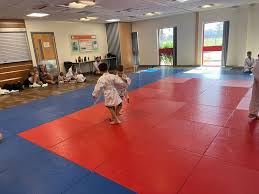 Image result for Beverley Haltemprice Judo Club