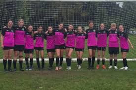 Image result for Beecholme Belles Banstead FC