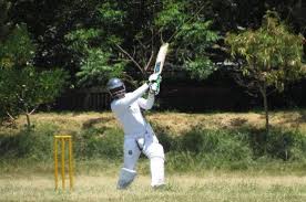 Image result for Southwell Cricket Club