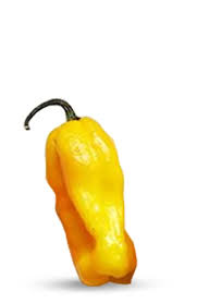 Afbeeldingsresultaat voor mme jeanette hot pepper