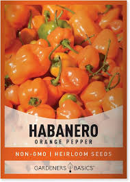 Afbeeldingsresultaat voor orange habanero hot pepper