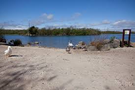 Image result for Rother Valley