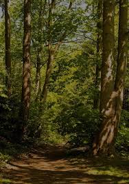 Image result for Tabele de Cubaj Pentru Lemn Rotund tehron