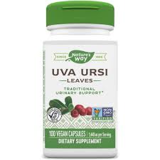 Attēlu rezultāti vaicājumam “Arctostaphylos uva-ursi leaf”