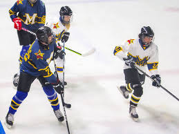 Image result for Salford University Hockey Club