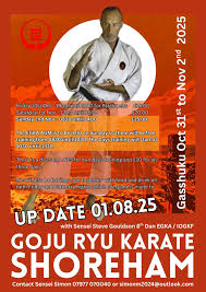 Image result for Ryusui-ryu Martial Arts School East Grinstead