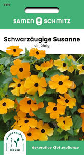 Image result for schwarzäugige Susanne