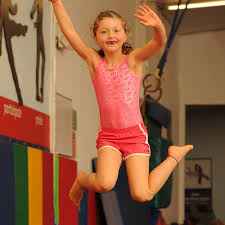 Image result for Focus Institute of Gymnastics