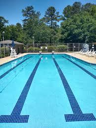 Image result for Sedgefield 75 Swimming Club
