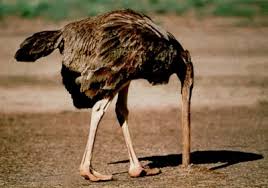 images?q=tbn:ANd9GcRDRNyUjRQfTEZ98-9Yb_mSjVRSfJKWh-KF62mH3sW0U5nph_jc9Q