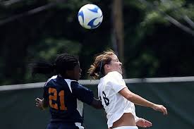 Image result for Beecholme Belles Banstead FC