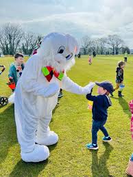 Image result for Budleigh Salterton Cricket Club