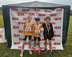 Image result for Hercules Wimbledon A C