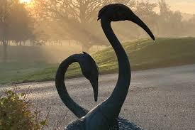 Image result for Cranleigh Golf & Leisure Club