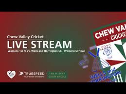 Image result for Chew Magna Cricket Club