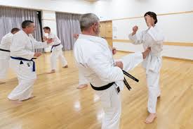 Image result for Seiki Juku Karate Club