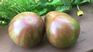 Afbeeldingsresultaat voor kosmonaut volkov 68D tomato