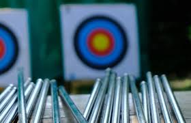 Image result for Blue Arrows Archery Club