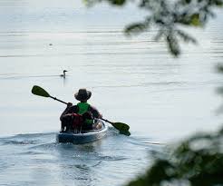 Image result for Exeter Canoe Club