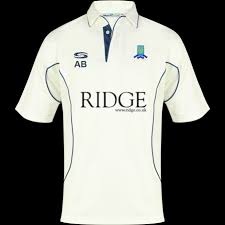 Image result for Theale and Tilehurst Cricket Club