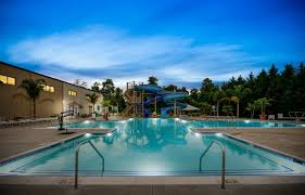 Image result for Belgrave Swimming Club