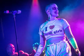 Image result for Karin Dreijer Andersson