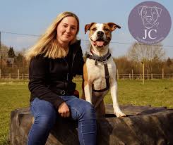 Image result for Harborough Junior Dodgeball Club