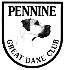 Image result for Great Dane Handball Club, Wapping, London