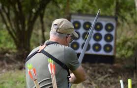 Image result for Pentref Bowmen