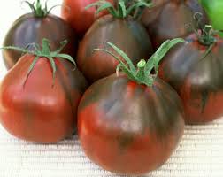 Afbeeldingsresultaat voor debarro black tomato