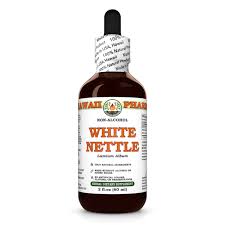 Attēlu rezultāti vaicājumam “Lamium album leaf”