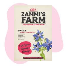 Attēlu rezultāti vaicājumam “Borago officinalis bud”