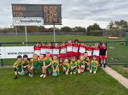Image result for Tir Chonaill Gaels G A A Club