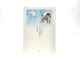 猫次郎o에 대한 이미지 검색결과