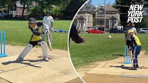 Image result for Old Stacians Cricket Club
