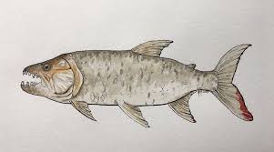 Image result for Goliath Tigerfish