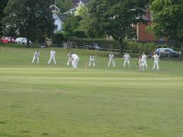Image result for Waverley Cricket Club