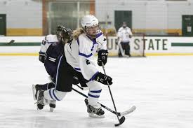 Image result for Demons Skater Hockey Club