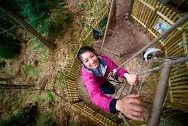Image result for Go Ape! Alice Holt