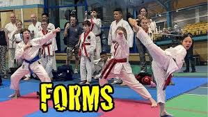 Image result for Utf Taekwondo Cymru Cardiff