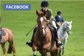 Image result for Lakes Riding Club